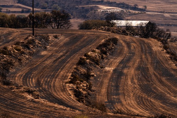 最好的配资公司 西班牙首都附近爆发野火　浓烟笼罩马德里